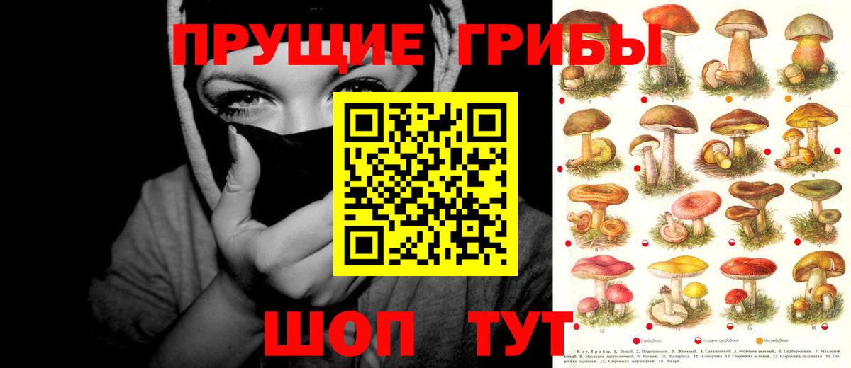 Красноперекопск  Псилоцибиновые грибы ЛСД  Вход с VPN 
